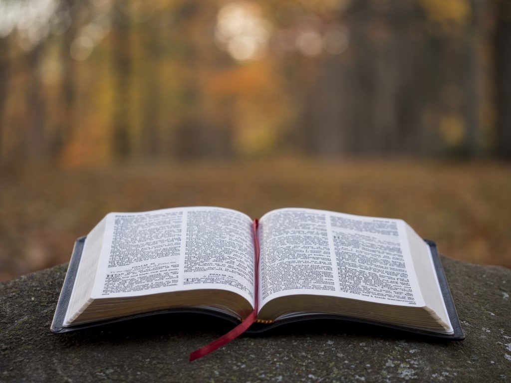Mes de la biblia, septiembre, ¿Por qué?