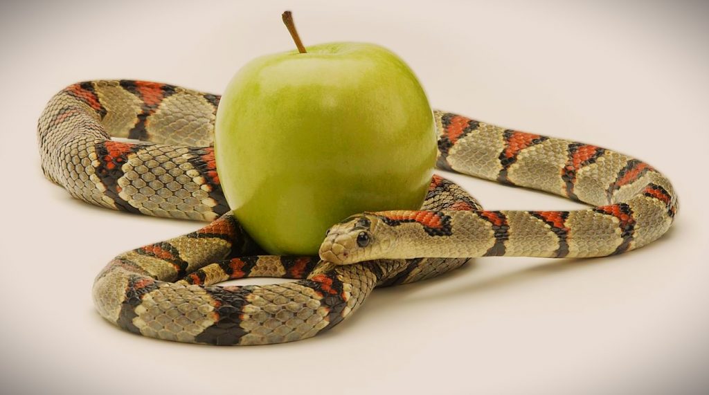 ¿Qué son los pecados? y el tormento de sus consecuencias